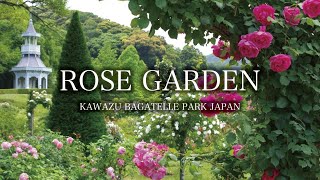 Beautiful Rose Garden Ambient ‘Kawazu Bagatelle Park’ Kawazu Shizuoka Japan｜4K Flower Garden [upl. by Darsie]