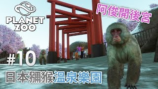 【阿俊開後宮】10 日本獼猴溫泉樂園《Planet Zoo》 動物園之星 [upl. by Gonick334]