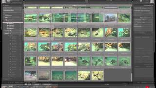 Importing existing files and folders into Lightroom 4 [upl. by Gris]