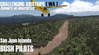 X PLANE 11 MULTIPLAYER Challenging airstrips of WASHINGTON [upl. by Monaco]