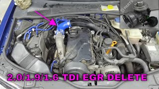 How To DO EGR DELETE On Any 201916 Tdi Engine ECU SOFT [upl. by Inej]