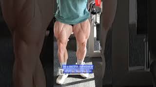 Michal Krizo is a MONSTER at 25 Weeks Out From Olympia [upl. by Gatias389]