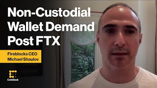 Fireblocks CEO on NonCustodial Wallet Service Demand in Wake of FTX Collapse [upl. by Ricki615]