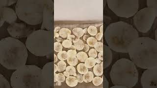 Natural homemade potato chips food [upl. by Luigi]