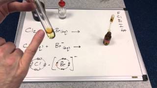 Displacement Reactions of Halogens 1 [upl. by Yert]