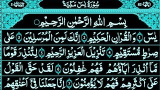 Surah Yaseen Surah Rahman  Quran Recitation  Yaseen Sharif ki tilawat  With Arabic text HD [upl. by Benedic989]