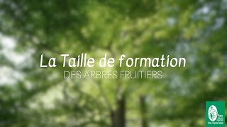 2 TAILLE DE FORMATION  Tutoriel [upl. by Nwahsir]