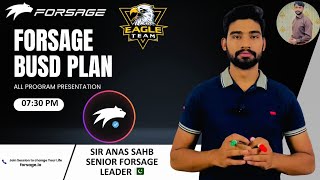 Forsage Busd Complete Plan By Sir Anas [upl. by Ailimat]