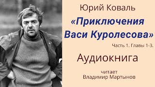 Юрий Коваль  quotПриключения Васи Куролесоваquot АУДИОКНИГА Часть 1 главы 13 [upl. by Sira]