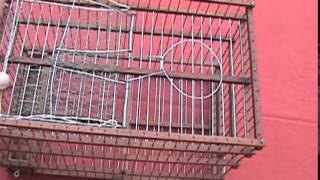 Trampera Para Pájaos Con Red quotBahíaquot  Net Bird Trap [upl. by Ytsihc]