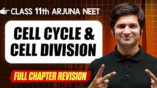 Cell Cycle amp Division  COMPLETE Chapter in 1 Video  Quick Revision  Class 11th Arjuna NEET [upl. by Aissat346]