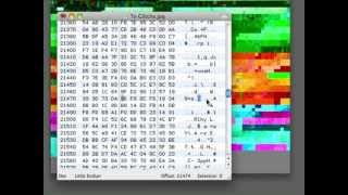 HexEdit Glitch Tutorial with Evan Meaney [upl. by Hickie]
