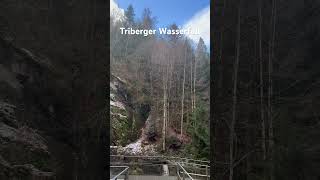 Triberg şelalesi youtubeshorts wasserfall deutschland [upl. by Marbut]