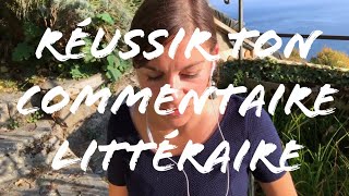 COMMENT FAIRE UN COMMENTAIRE LITTERAIRE [upl. by Aek]