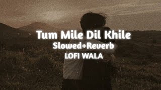 Tum Mile Dil Khile   SlowedReverb   Raj Barman  LOFI WALA [upl. by Nyladnek]