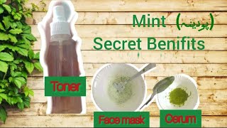 Mint leaves secret Benifits TonerFace Mask and serum for Glowing silky and smooth skin [upl. by Innavoj]