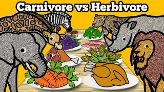 Carnivore vs Herbivore Safari Animals  Lets Draw amp Color Wild Animals and Learn Fun Animal Facts [upl. by Arvo]