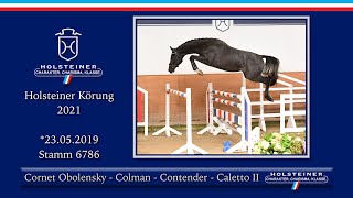 Holsteiner Körlot 2021  Nr 30 v Cornet Obolensky  Colman  Contender  Caletto II [upl. by Sobmalarah]