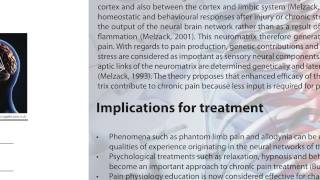 What is the Neuromatrix Theory and its implication for chronic treatment [upl. by Maurits]