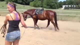 How to use Side Reins while lunging [upl. by Angell]