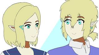 Work in Pairs a Link amp Zelda animation [upl. by Avraham]