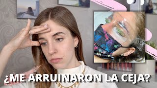 MI EXPERIENCIA CON EL LAMINADO DE CEJAS ¿FUNCIONA I Florencia Guillot [upl. by Hiltan]