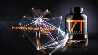 StarLabs Nutrition 17 Test FX [upl. by Hnaht]