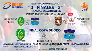 Finales del Torneo Anual Desarrollo [upl. by Oster]