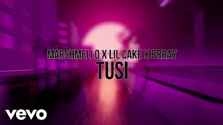 Marshmello LiL CaKe Brray  Tusi Visualizer [upl. by Haila738]