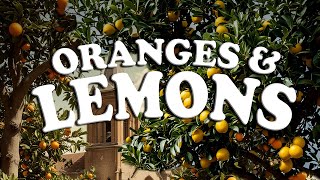 ORANGES AND LEMONS  Nursery Rhyme [upl. by Lerred]