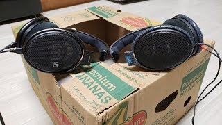 Sennheiser HD660S vs HD600 Comparison [upl. by Aridan]