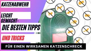 Katzenabwehr leicht gemacht  Die besten Tipps und Tricks für einen wirksamen Katzenschreck [upl. by Harahs766]