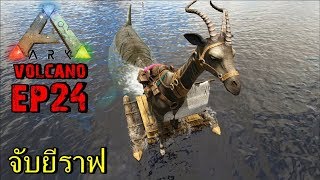 BGZ  ARK Volcano EP24 จับยีราฟ tame sivatherium [upl. by York]