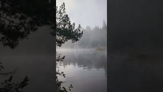 Misty Morning Canoe [upl. by Torrie391]