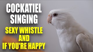 This Will Make YOUR COCKATIEL SING [upl. by Atik710]