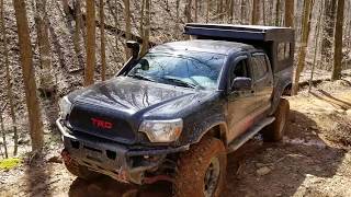 Toyota Tacoma  Off road  Windrock Park Part 2 [upl. by Solis]