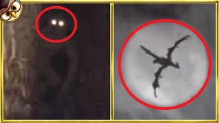 50 Mysterious Mythical Creatures Caught on Tape [upl. by James401]