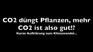 Mehr CO2 lässt Pflanzen schneller wachsen und schneller sterben [upl. by Eduino]