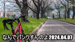 【自転車駄話】花見サイクリングの筈が自転車パンク【なんてこったい！】20240407 福岡市東区志賀島 TEMUで購入した自転車チューブ パッチが活躍する時が来た。 [upl. by Danby]