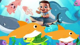 Baby shark do do do kids song nursery rhymes kids dance RC UNIVERSE [upl. by Meesak]