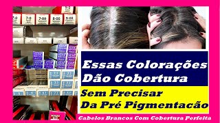 Qual A Melhor Tinta Para Cabelo Branco Vou Te Mostrar As Melhores [upl. by Ainessej]