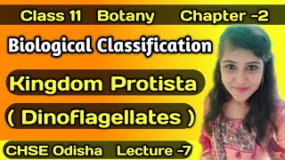 Kingdom Protista Dinoflagellates Class 11 Botany CHSE Biological Classification [upl. by Eyaf]