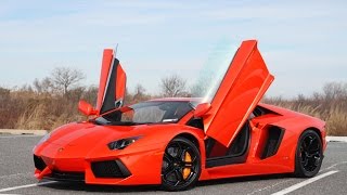 Forza Horizon 2  Part 25  Lamborghini Aventador Lets Play  Walkthrough  Gameplay [upl. by Notrem366]