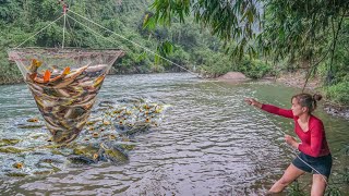 180 Days REWIND TIMELAPSE How to Make Simple Fish Trap The SECRET to FISHING TRAPS and BAIT Tips [upl. by Ettennad]