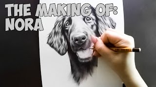 FlatCoated Retriever Speed Drawing [upl. by Arras]