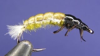 Fly tying  Hydropsyche larva nymph [upl. by Ellord710]