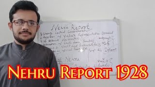 Nehru Report 1928 in UrduHindi [upl. by Eremaj]