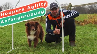 Hoopers Agility  So lernt dein Hund ganz EINFACH Hoops kennen [upl. by Andra]