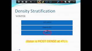 Nutrients in Lentic Ecosystems Part 1 [upl. by Nadler]