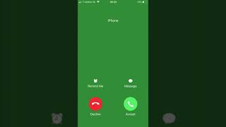 iPhone Call Green Screen [upl. by Rebor571]